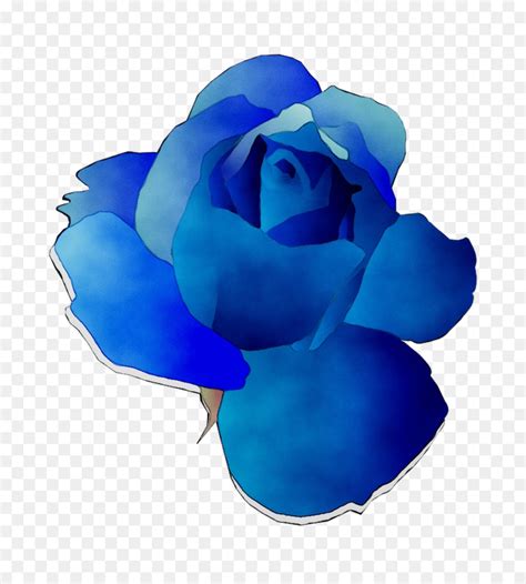 Blue Rose Clip Art Rose Png Download Free Transparent Blue Rose Png Download