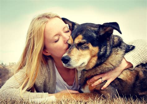 10 Hal Yang Perlu Diketahui Sebelum Memiliki Anjing Trimbullbulldogs