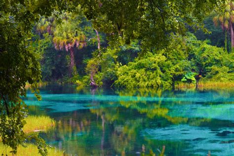 Rainbow Springs State Park