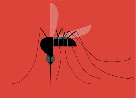 Are You A Mosquito Magnet Science Explains Why Genetic Literacy Project