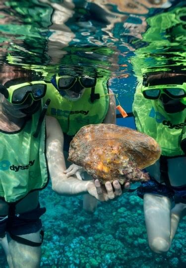 Where To Go Snorkeling In Grand Cayman Celebrity Cruises