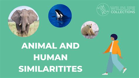 6 Animal Characteristics And Traits That Are Similar To Humans Fahlo