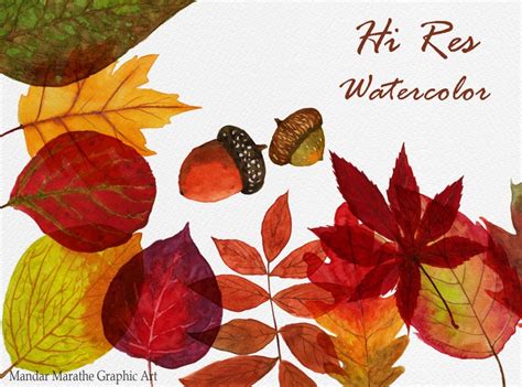 Watercolor Fall Leaves Clipart Bright Autumn Leaves Wreath Etsy