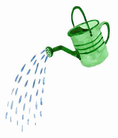 Watering Water Clipart Clip Cans Pouring Plant