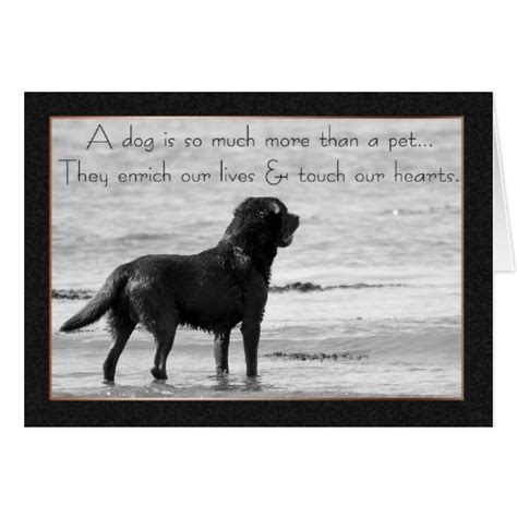 Pet Dog Sympathy Card Touch Our Hearts Zazzle