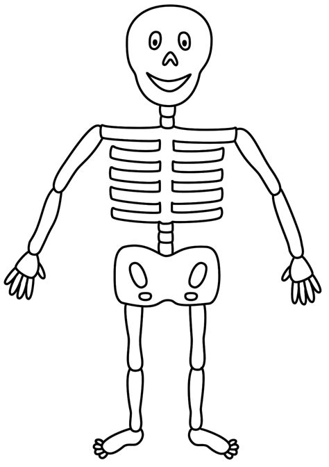 Arm bones diagram picture category: Kids Skeleton Drawing - Cliparts.co