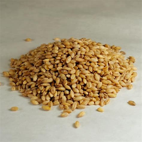 Barley bread barley bread barley bread. Organic Whole Barley Berries // Central Milling // Organic ...