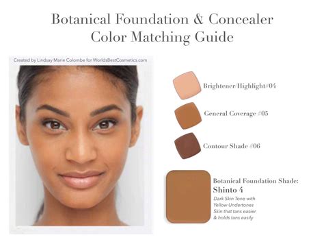 LimeLife Foundation and Concealer | Concealer colors, Botanical foundation, Foundation shades