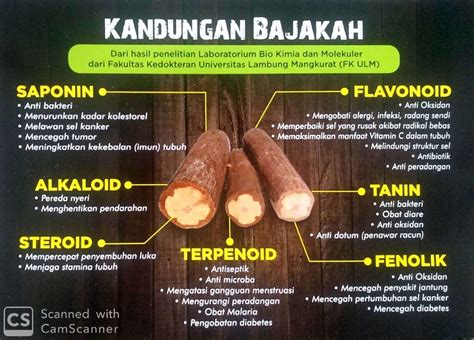 Jual Akar Bajakah 250 Grm Asli Obat Kanker Dan Tumor Dari Kalimantan