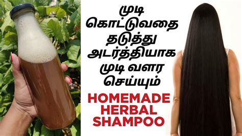 Homemade Herbal Natural Shampoo For Long And Fast Hair Growth How To