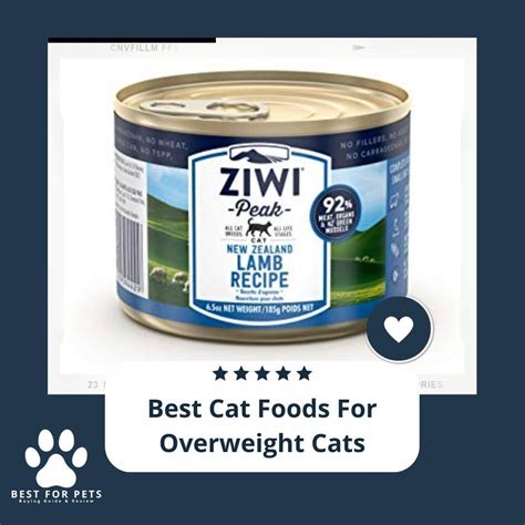 11 Best Cat Foods For Overweight Cats In 2022