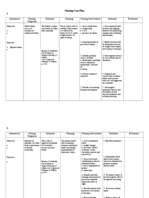 Nursing Care Plan Ckd Pdf Anemia Kidney