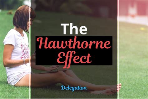 (1992) «was there a hawthorne effect?» Is the Hawthorne Effect Relevant to Solopreneurs ...