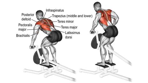 Dumbbell Upright Row Muscle Worked Benefits