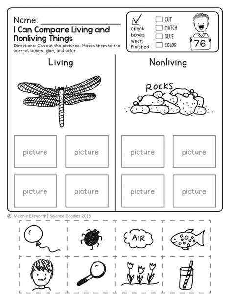 Science 1st Grade Worksheet