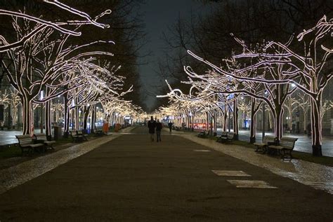Trees Downtown Decorated With Lights Stock Image Image Of