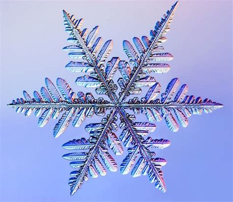 Crystal Magic The Science Of Snowflakes Mpr News