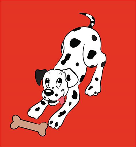 Dalmatian Dogs Cartoon Illustrations Royalty Free Vector Graphics