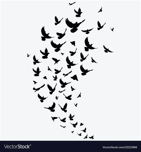 Silhouette Of A Flock Of Birds Black Contours Vector Image