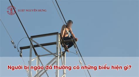 Ngáo đá Là Gì Ngáo đá Giết Người Bị Xử Lý Như Thế Nào