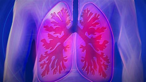 Know The Early Signs Of Lung Cancer Know The Early Signs Of Lung Cancer