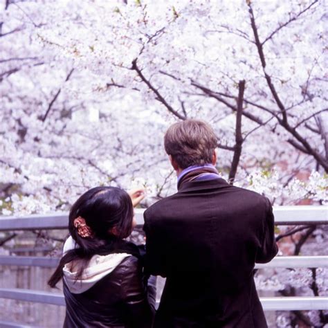 La Hermosa Leyenda Del árbol De Sakura