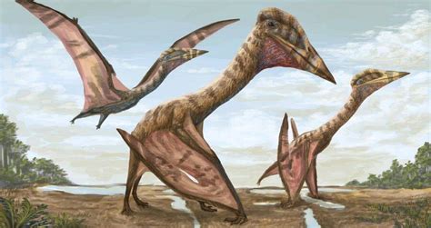 New Pterosaur Species Dubbed Dragon Of Death Discovered In Argentina