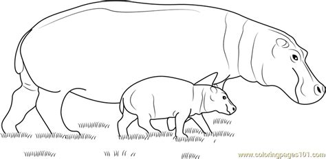Hippopotamus With Baby Coloring Page For Kids Free Hippopotamus