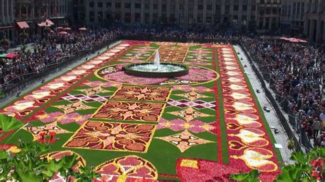 Maybe you would like to learn more about one of these? Brussels Flower Carpet 2010 - YouTube
