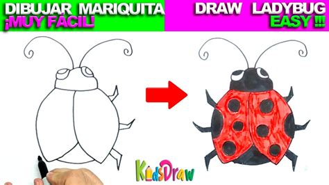 🐞 Cómo Dibujar Una Mariquita Para Niños 🐞 How To Draw A Ladybug For