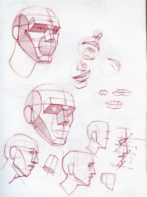 Face Drawing Tutorials Face Drawing Tutorials Figure Drawing Anatomy