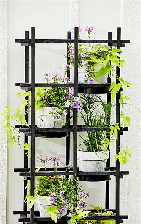 Turn Basic Wood Trellises Into A Stylish Outdoor Plant Stand