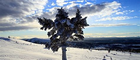 Forsberg mit dem goldenen tor. Schweden Kanureisen natours.de