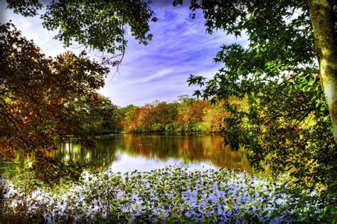 Free Images Landscape Tree Water Forest Grass Branch Plant Sky
