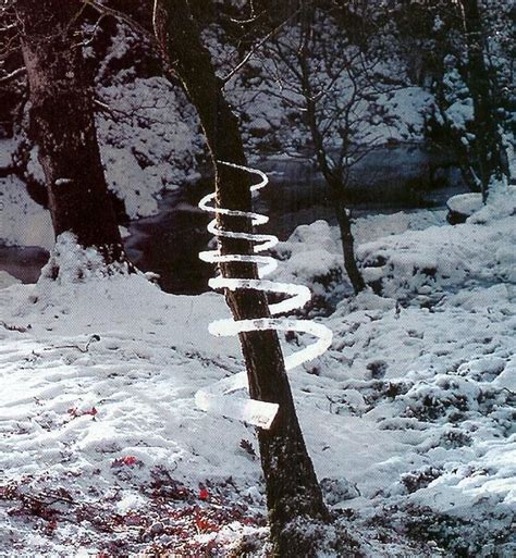 Land Art Reconstructed Icicles Around A Tree Andy Goldsworthy