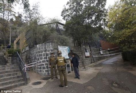Santiago Zoo Scene Of Suicide Attempt After Naked Man Jumps Into Lion