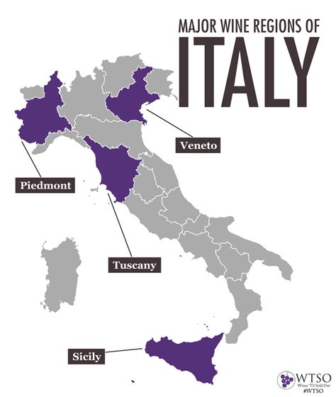 A Guide To Italian Wines From The Vine