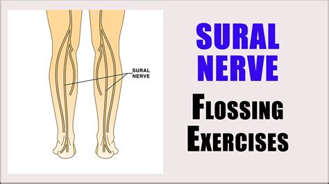Sural Nerve Entrapment Nerve Glide Exercises For Pain Numbness And