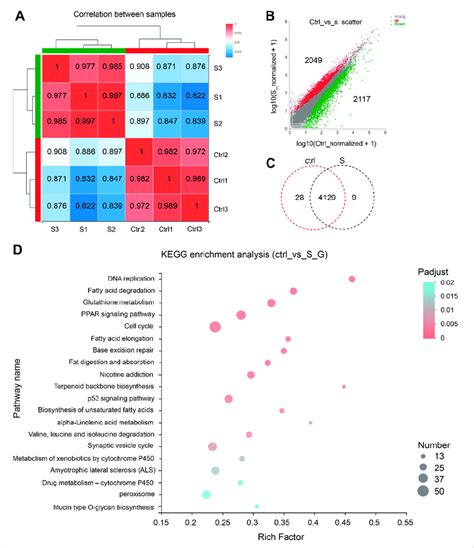 Gene Expression And Functional Enrichment Analysis Of Rna Seq Data A Download Scientific