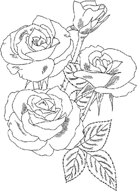 Whether you love flowers or you do want to introduce the function of bouquet to your sweetheart, flower bouquet coloring pages can be an ideal worksheet to choose from.a flower bouquet is a pack of flowers in a creative arrangement to decor homes or public buildings. Roses Flower Bouquet Coloring Page : Color Luna