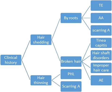 Evaluation And Diagnosis Of The Hair Loss Patient Journal Of The