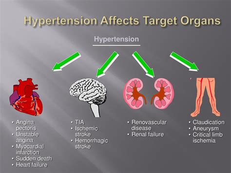 Ppt Hypertension Why Is It Important For Public Health Powerpoint