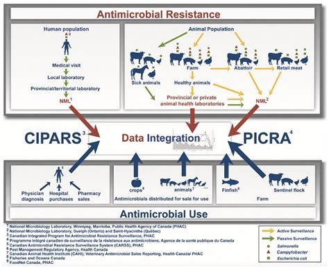 Frontiers Knowledge Gaps In The Understanding Of Antimicrobial