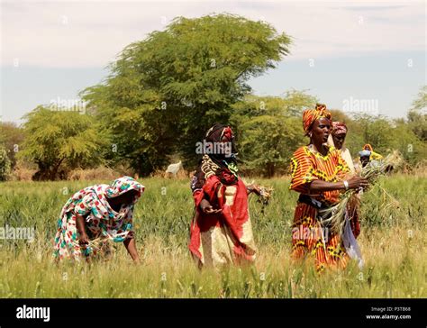 Senegal Women High Resolution Stock Photography And Images Alamy