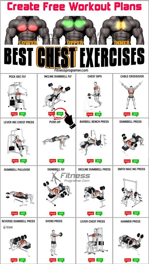 The Best Chest Exercises Zawsa