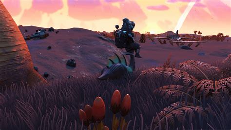 Watching The Sunrise Rnomansskythegame