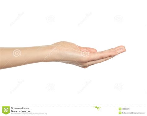 Open A Womans Hand Palm Up Stock Photo Image Of