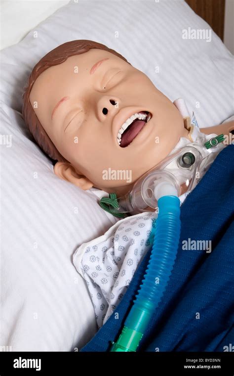 Medical Training Dummy Mannequin In Hospital Bed Stock Photo Alamy