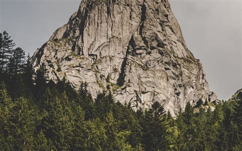 Download Wallpaper 3840x2400 Mountain Rock Peak Forest Trees 4k
