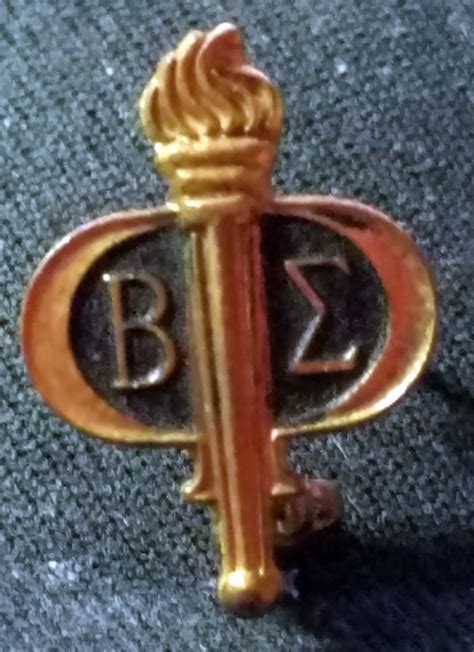 Beta Sigma Phi Sorority Vintage Torch Lapel Pin Sorority Pins